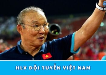 HLV Đội Tuyển Việt Nam – Ai Đang Dẫn Dắt Đội Tuyển Quốc Gia?