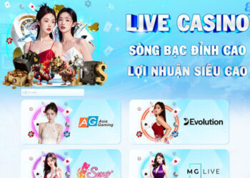 Casino 8dayinfo: Khuyến mãi, an toàn và chiến lược chơi